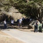 cambria_255 (November 03, 2018)